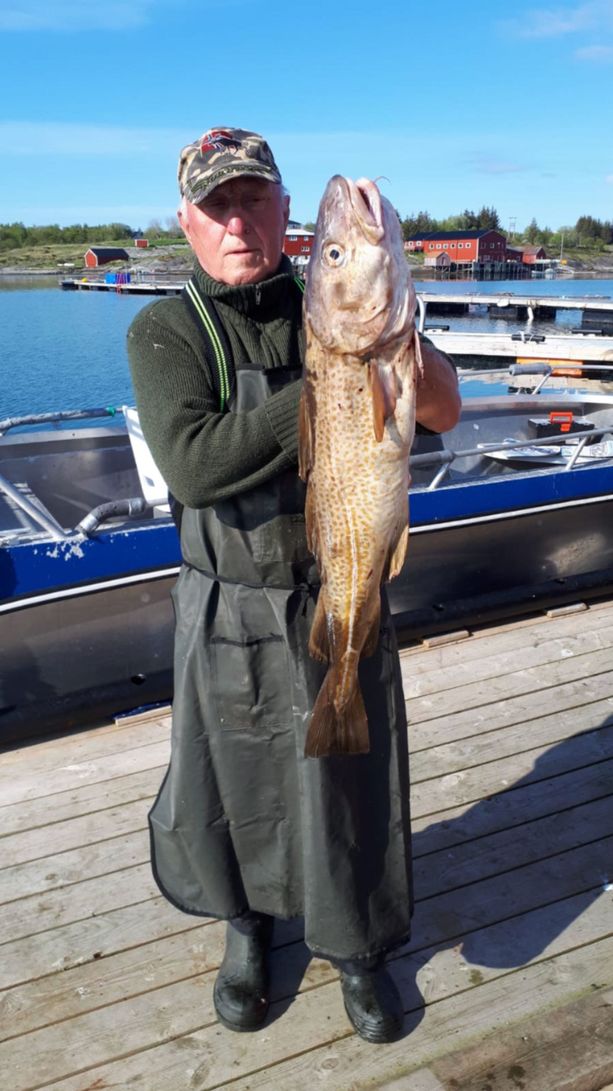 Bøteriet – Helgeland Rorbuer ansatt som holder opp en fersk fisk etter dagens fangst på en brygge med båter i bakgrunnen